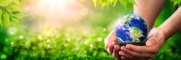 Zwei Hände halten die Weltkugel über einer Wiese