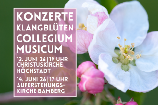 Weiße und Rosa Blüten