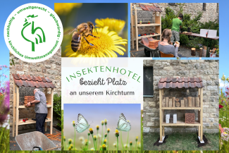 Bilder vom Bau des Insektenhotels