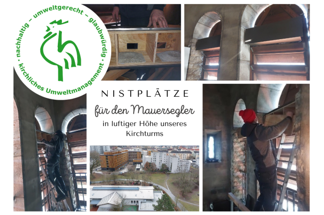 Einbau der Nistplatzhilfen für den Mauersegler im Kirchturm